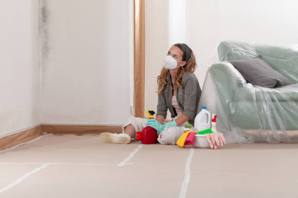 Trusted Mold Removal service in Holly Springs, GA - WQB Mold Removal